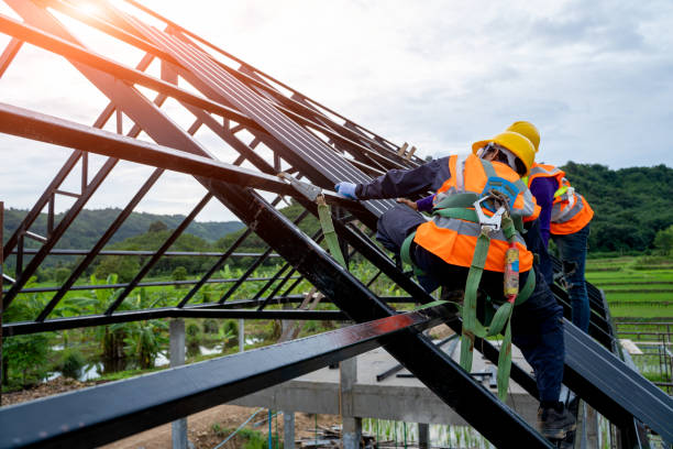 Best Roofing Contractor Near Me  in Dimondale, MI