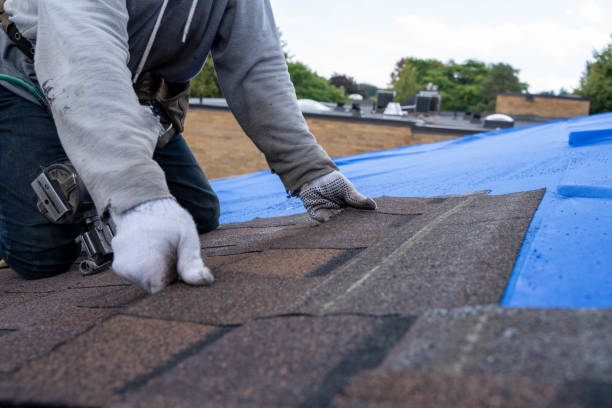 Best Roof Replacement Cost  in Dimondale, MI