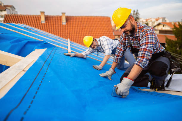 Quick and Trustworthy Emergency Roof Repair Services in Dimondale, MI