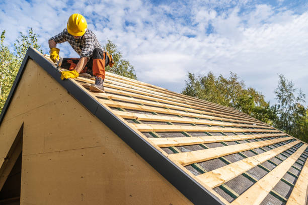 Best Roof Waterproofing Services  in Dimondale, MI