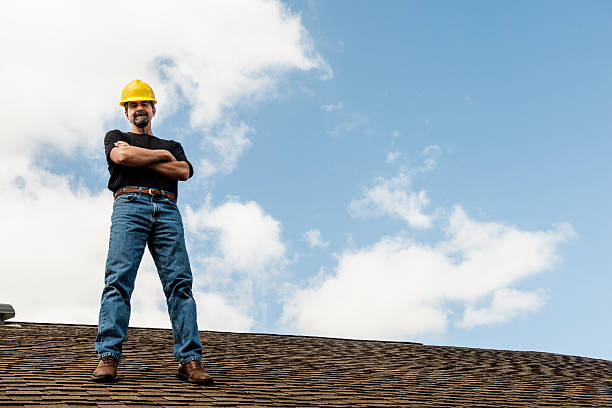 Best Roof Maintenance Services  in Dimondale, MI