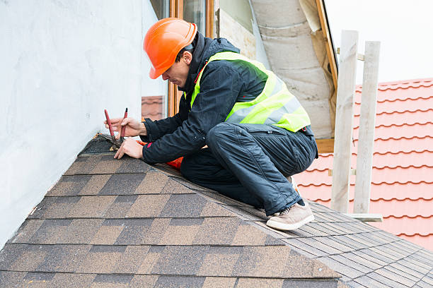 Best Metal Roofing Contractor  in Dimondale, MI