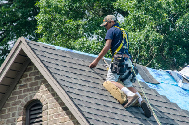 Best New Roof Installation  in Dimondale, MI
