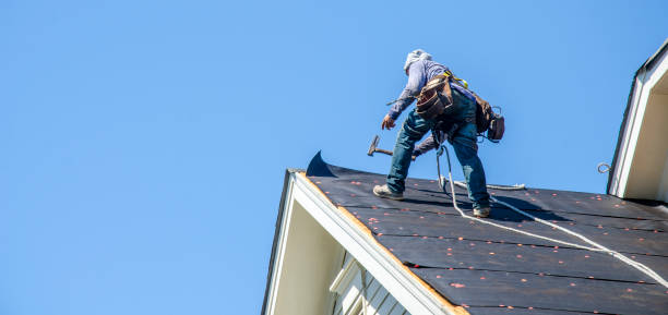 Best Residential Roof Replacement  in Dimondale, MI